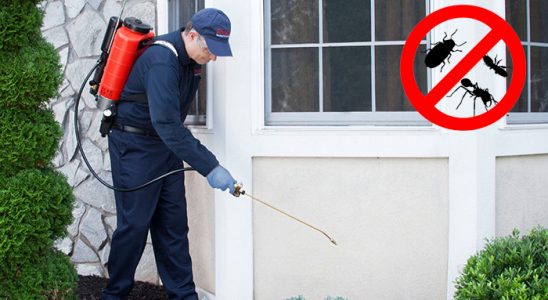Eyyübiye Fare İlaçlama böcek ilaçlama ve haşere kontrolü — ilaclama-tr.com
